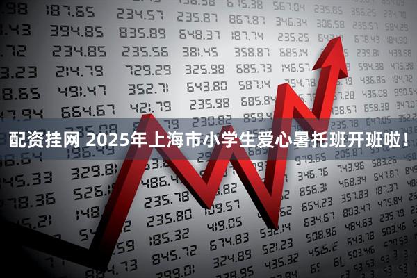 配资挂网 2025年上海市小学生爱心暑托班开班啦！